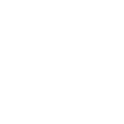 PEDESTRIAN ACCIDENTS