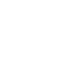 Slip & Fall Accidents