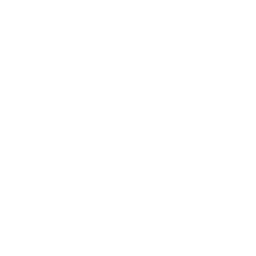 Dog Bites