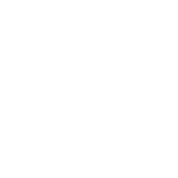 TRUCK ACCIDENTS
